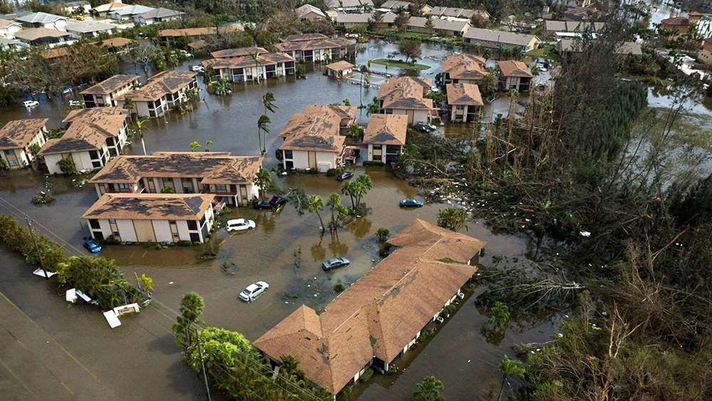 Roofing Near Me; Florida Roofing; Roofing Company; Tampa Roofing